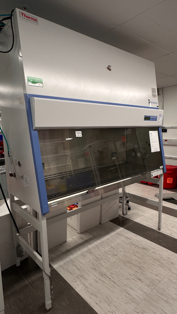 Image of Thermo Scientific 1300 Series A2 BSC- 6ft